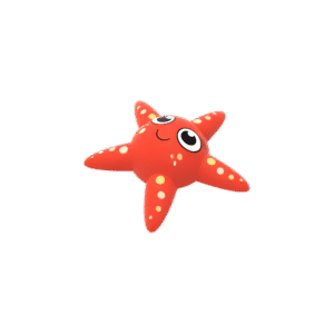 Estrella de Mar — Rubber Flex